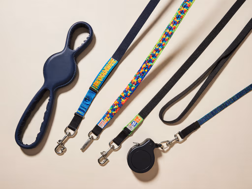 dog_walking_with_different_leash_types