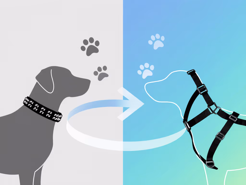 step-by-step_visual_of_transitioning_from_prong_collar_to_ergonomic_harness