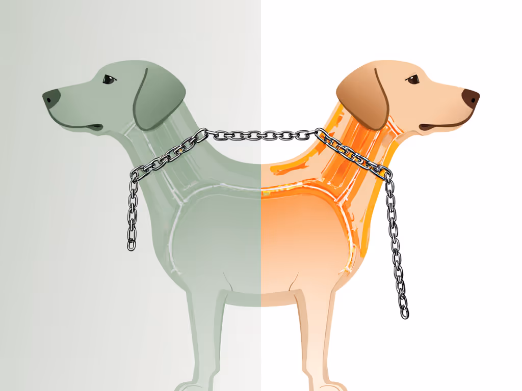 martingale_collar_adjustment_showing_safe_vs_unsafe_chain_positions