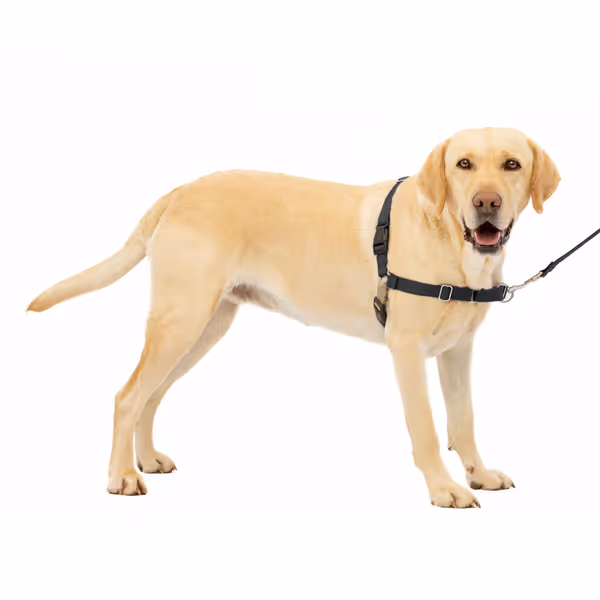 PetSafe Easy Walk Harness