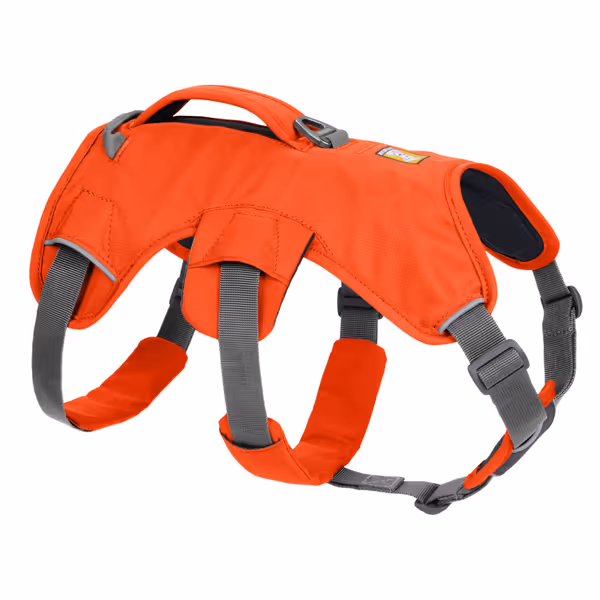 Ruffwear Web Master Harness