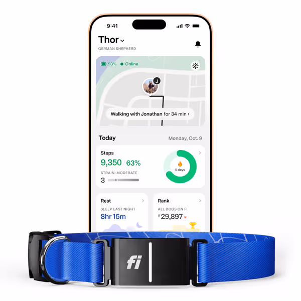 Fi Series 3+ Smart Dog Collar
